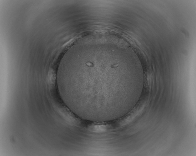 X0000115610228200911101434