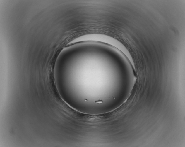 X0000115610229200911101434