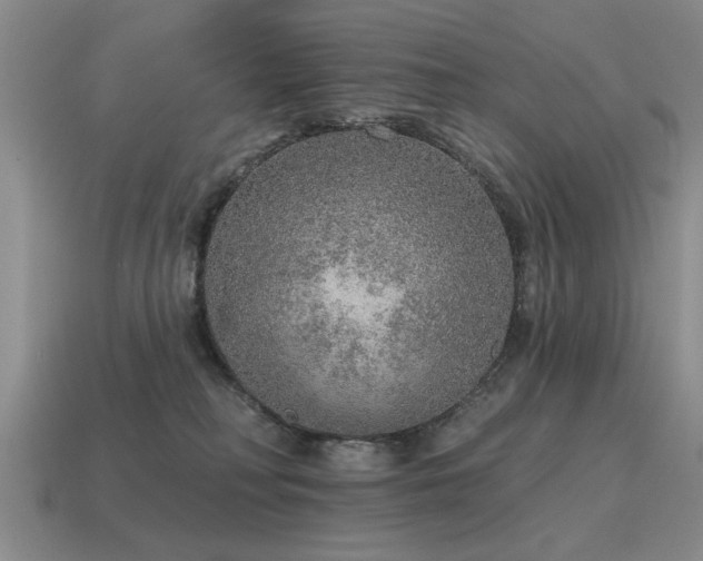 X0000115610230200911101434