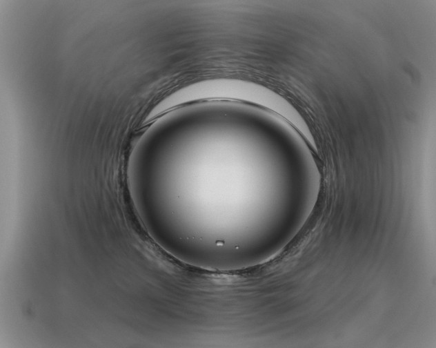 X0000115610233200911101434