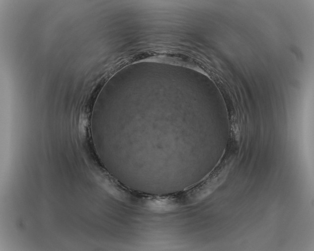 X0000115610235200911101434
