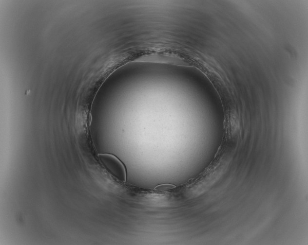 X0000115610236200911101434