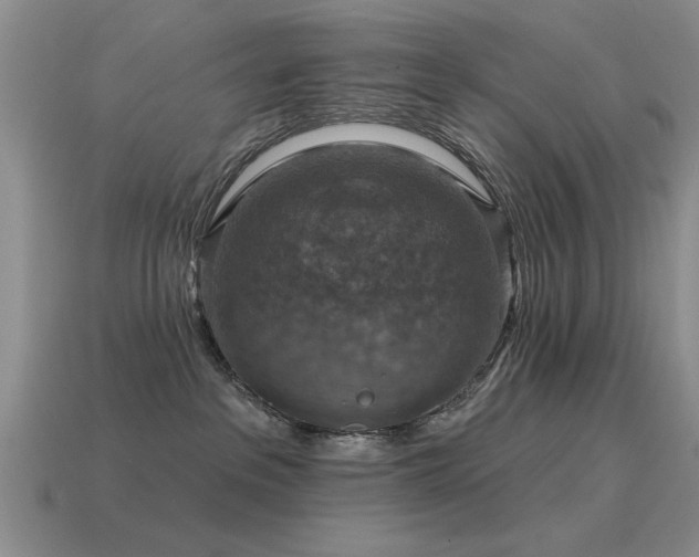 X0000115610237200911101433