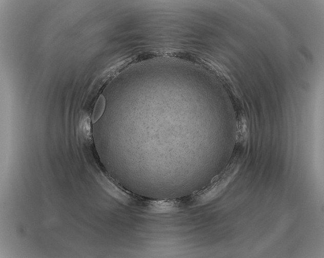 X0000115610238200911101433