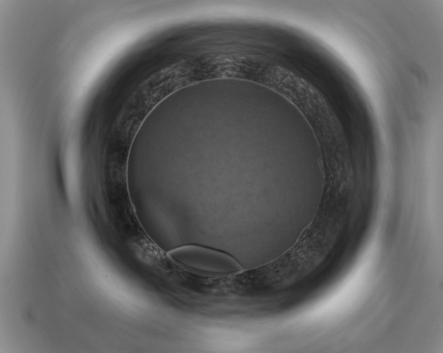 X0000115610239200911101433
