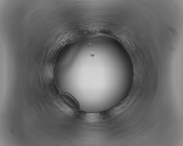 X0000115610240200911101433