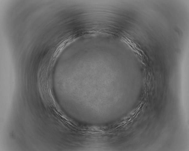 X0000115610241200911101433