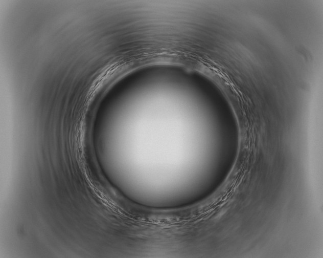 X0000115610242200911101433