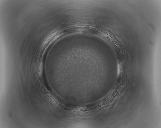 X0000115610243200911101433