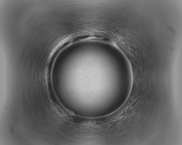 X0000115610244200911101433