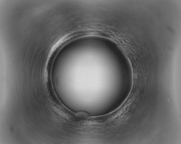 X0000115610246200911101433