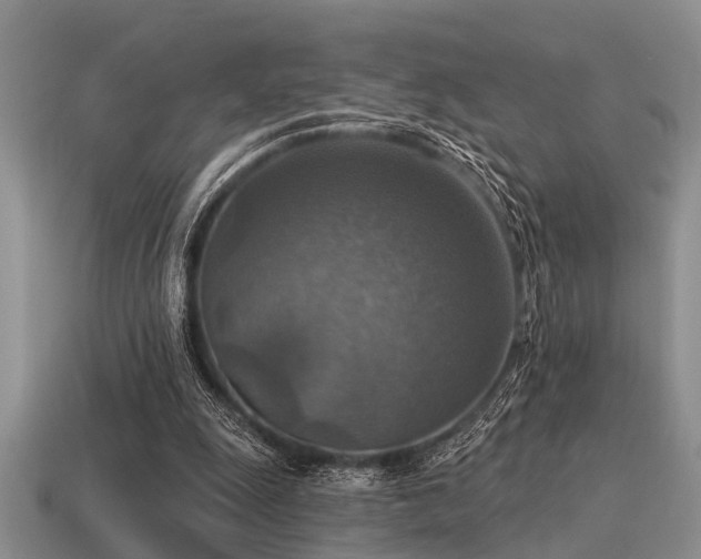 X0000115610247200911101433