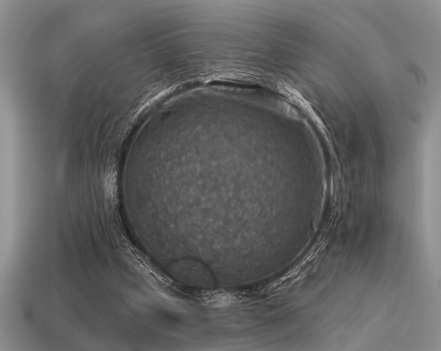 X0000115610249200911101433