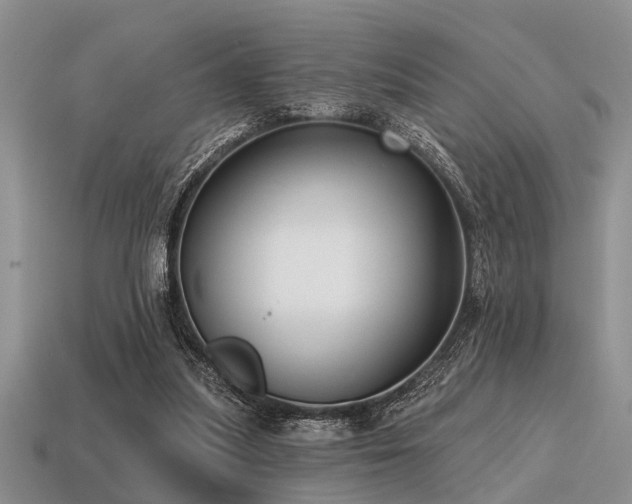 X0000115610251200911101433