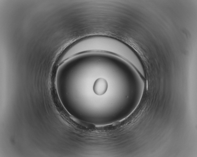 X0000115610252200911101433