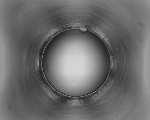 X0000115610253200911101433