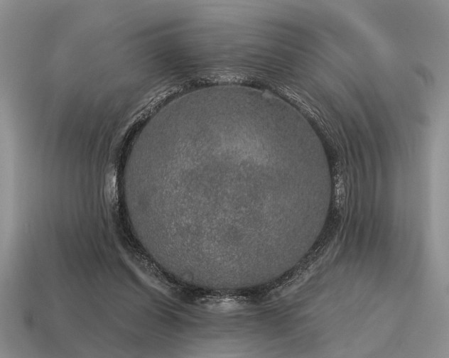 X0000115610254200911101433