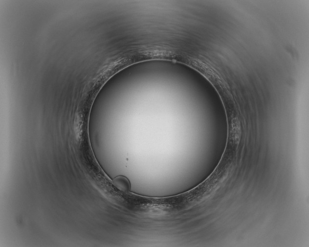 X0000115610255200911101433