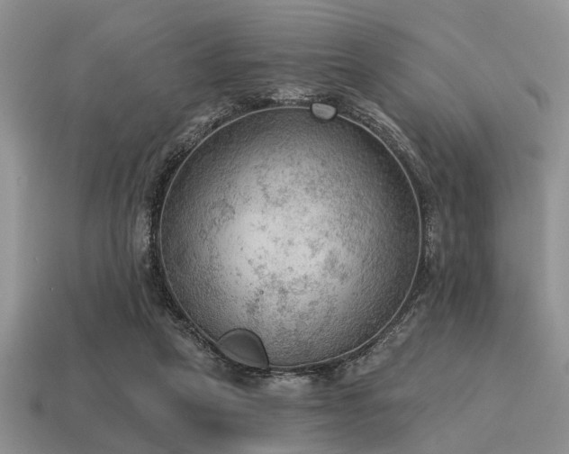 X0000115610257200911101433