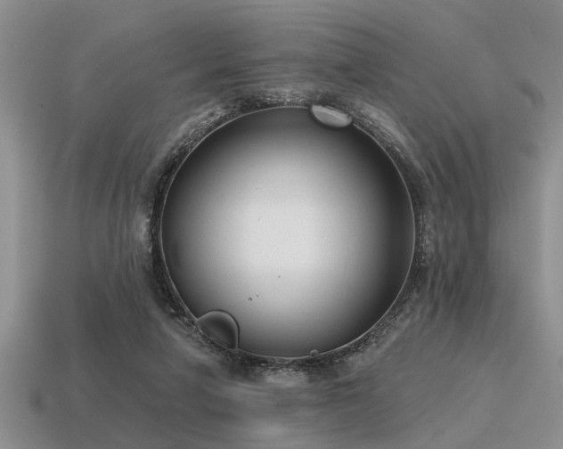 X0000115610258200911101433