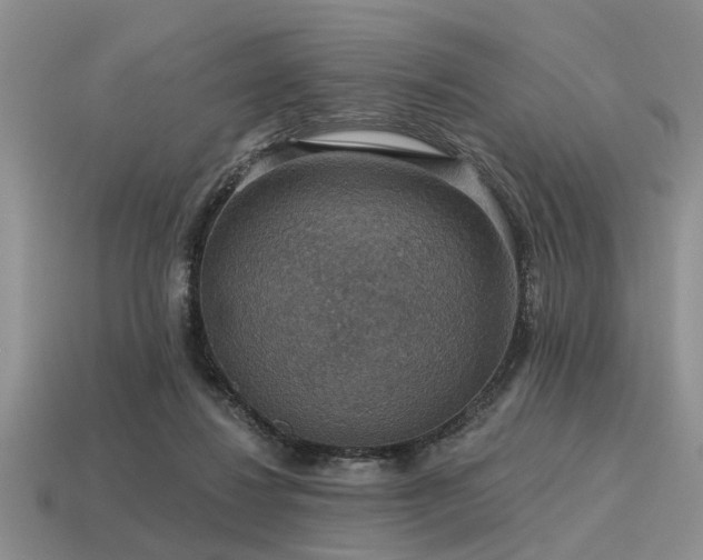 X0000115610260200911101433