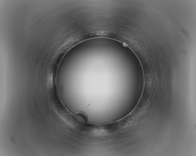 X0000115610262200911101433