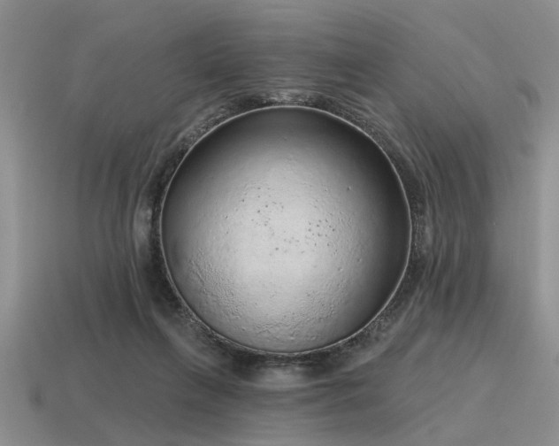 X0000115610263200911101433