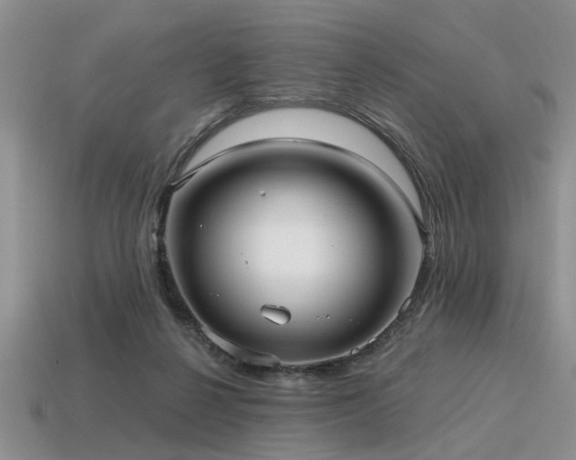 X0000115610264200911101433