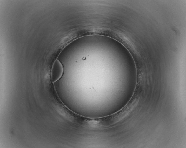 X0000115610265200911101433