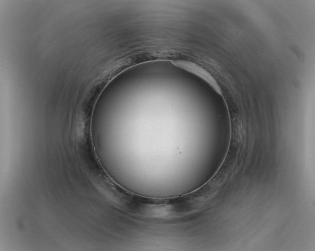 X0000115610266200911101433