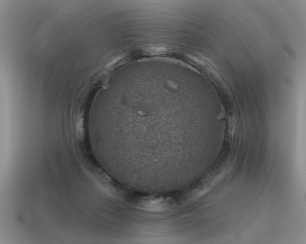 X0000115610267200911101433