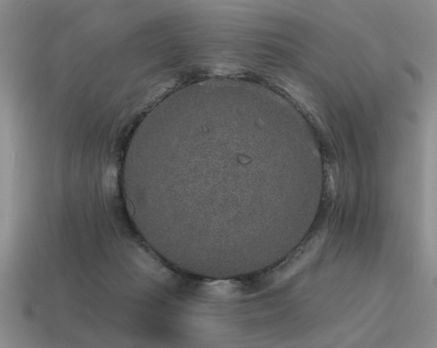 X0000115610269200911101433