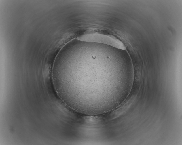 X0000115610273200911101433