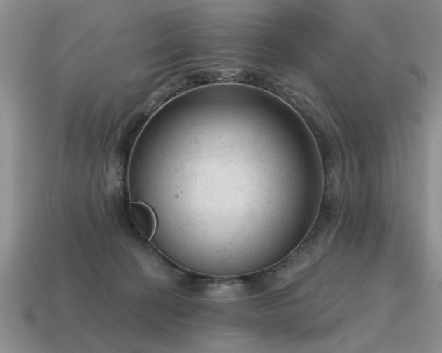 X0000115610274200911101433
