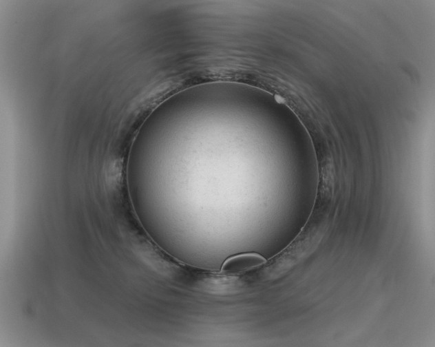 X0000115610278200911101433