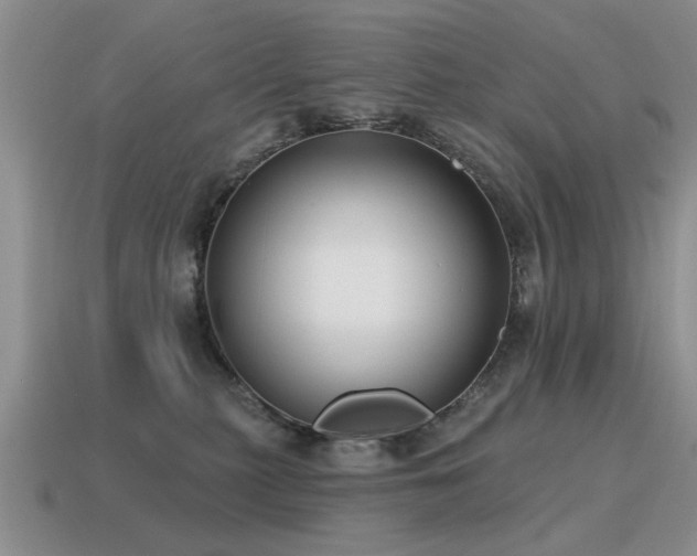 X0000115610279200911101433