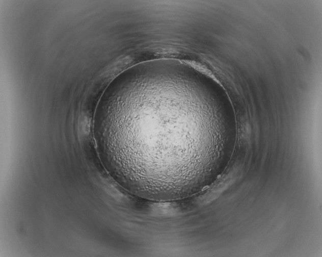 X0000115610281200911101433