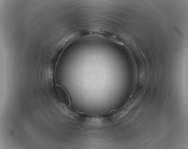 X0000115610282200911101433