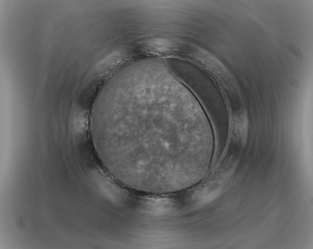 X0000115610284200911101433