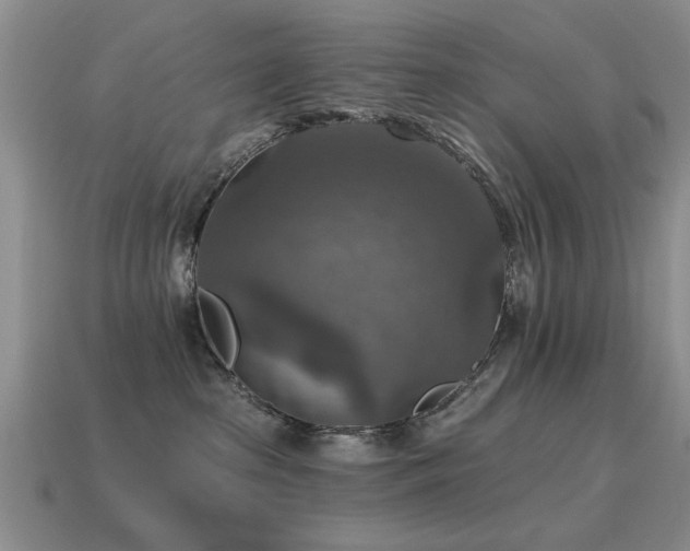 X0000115610285200911101433