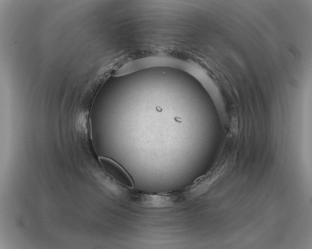 X0000115610286200911101433