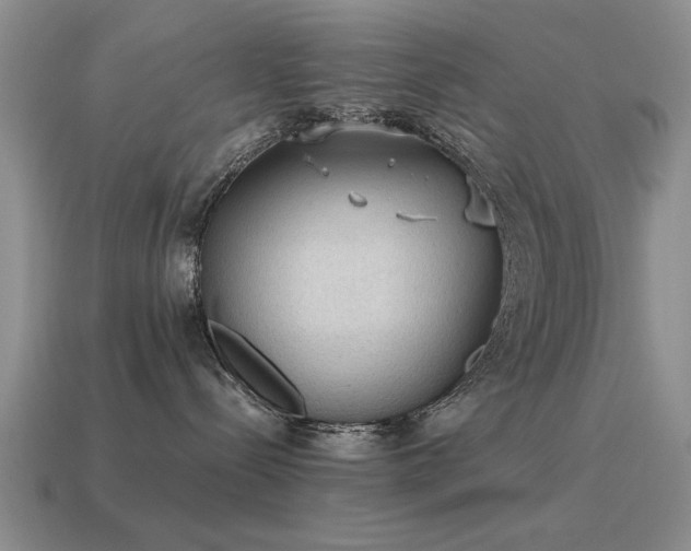 X0000115610288200911101433