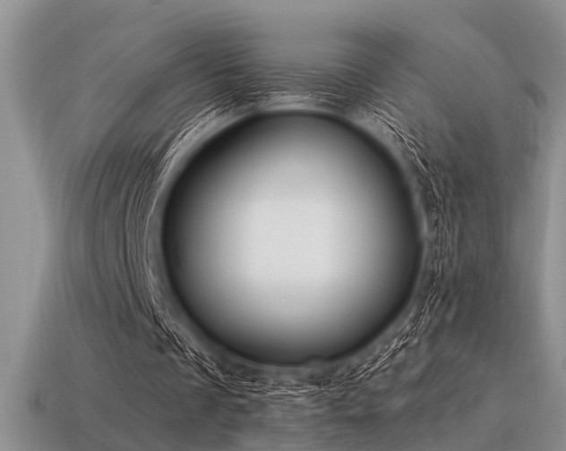 X0000115610289200911101433