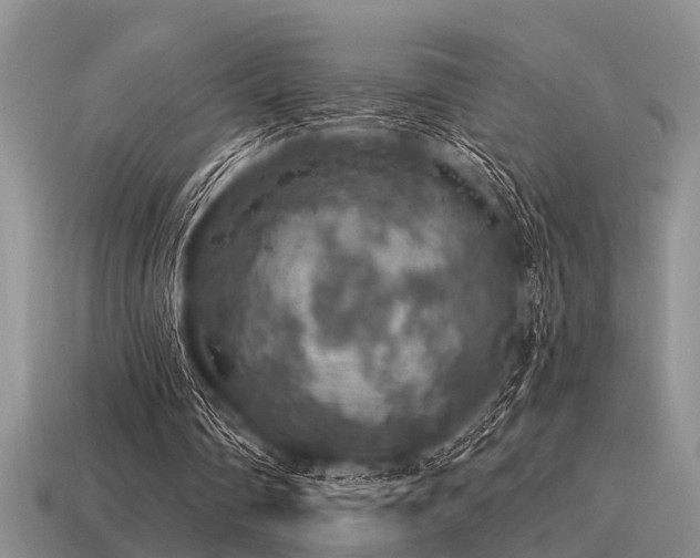 X0000115610290200911101433