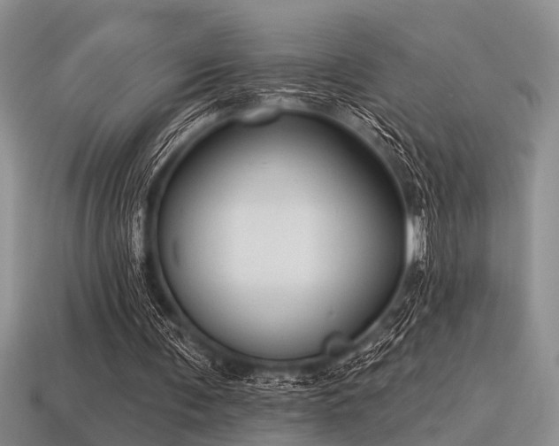 X0000115610291200911101433