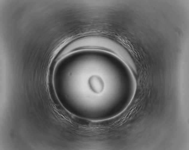 X0000115610292200911101433