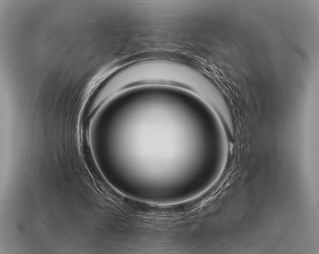 X0000115610294200911101433