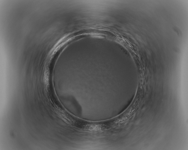 X0000115610295200911101433
