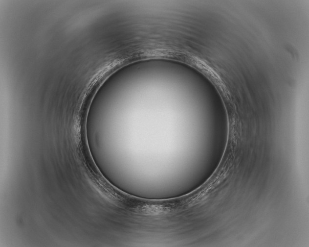 X0000115610298200911101433