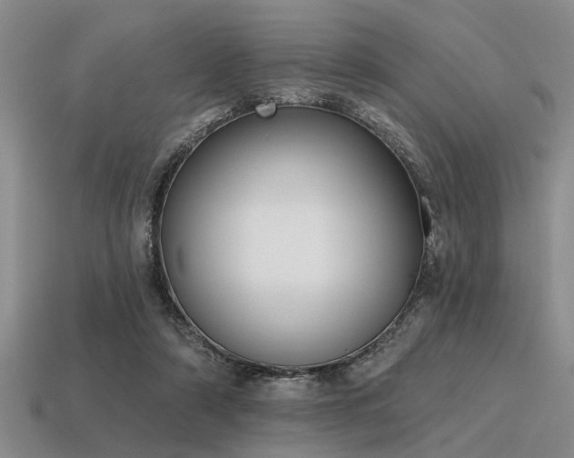 X0000115610306200911101433